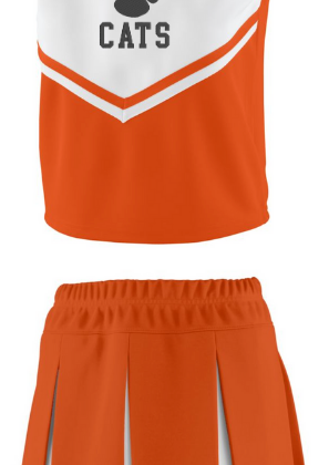 minster wildcats mini cheer uniform