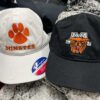 Minster Cat Paw Champion Dad Hat - Image 3