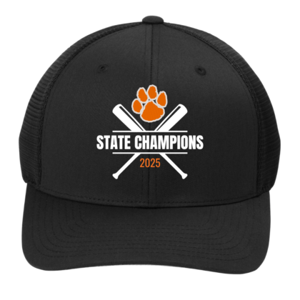 minster baseball state champs 2025 hat